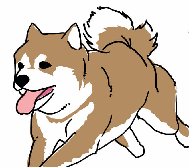 犬の抜けないハーネスはこれだ 愛犬が車にひかれそうになった話 柴犬ココたん のほほんカメラ日記