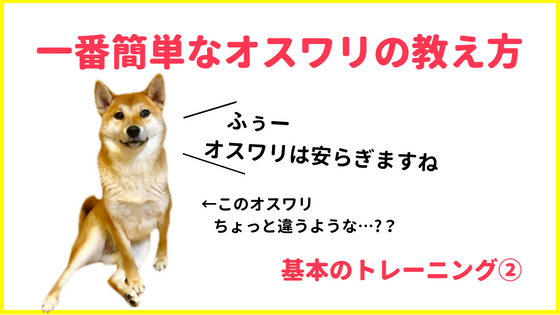 超簡単 犬のお座りと待ての教え方 初心者でもすぐに出来ました 柴犬ココたん のほほんカメラ日記