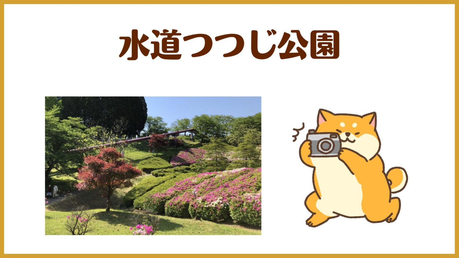 【水道つつじ公園:高岡市】桜とつつじの名所。見頃はいつ?お祭りは? シバスタイル「柴犬・子育て・車・バイク・DIY」